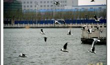 雨中，那美好的回忆