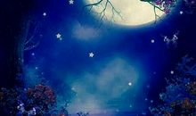 一个与众不同的朋友