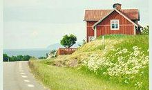 走在栀子花开的路上