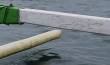 “哑巴”体验记