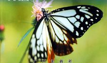 用观察法辨识纸币真假