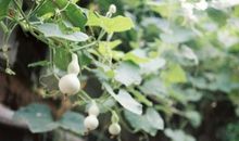 生活的痕迹_800字