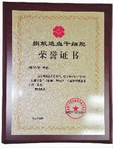 通过证明的想法