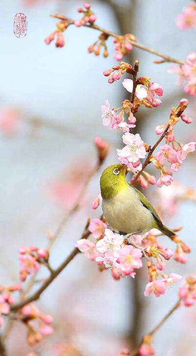 三月和风