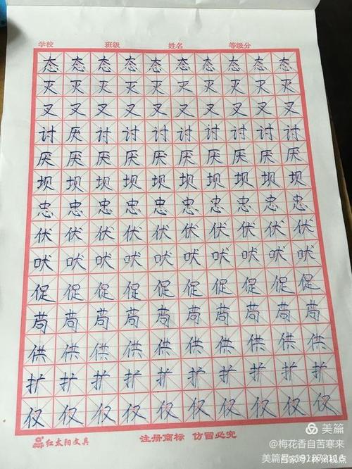 暑假趣味论文450字