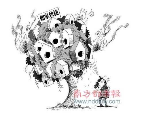 池塘鱼