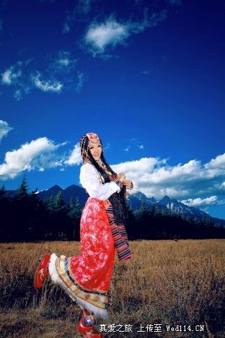 真爱之旅