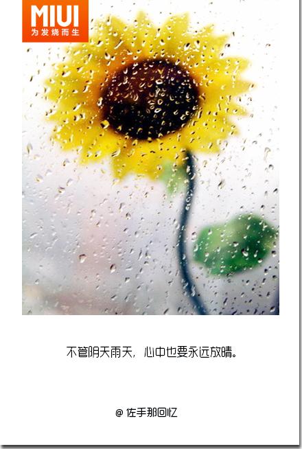 一个让我感动的词