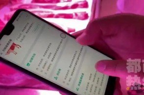 类有“仙女”