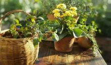 暑假中的美好的一天