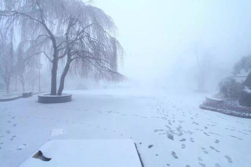 期待飞雪