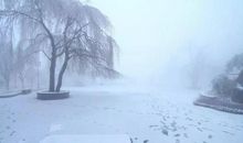 期待一场纷飞的雪