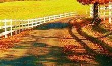 秋天因你而美丽