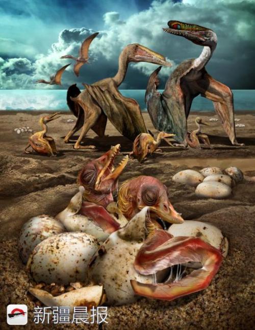 我在新疆的发现