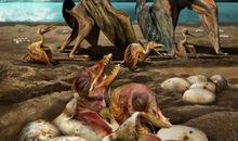 我在新疆的发现