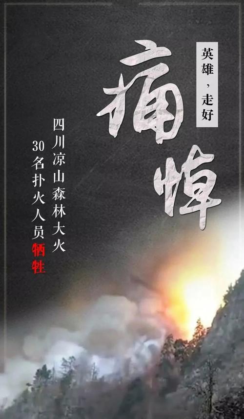 生命责任