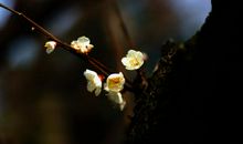 那一瞬间，母爱绽放