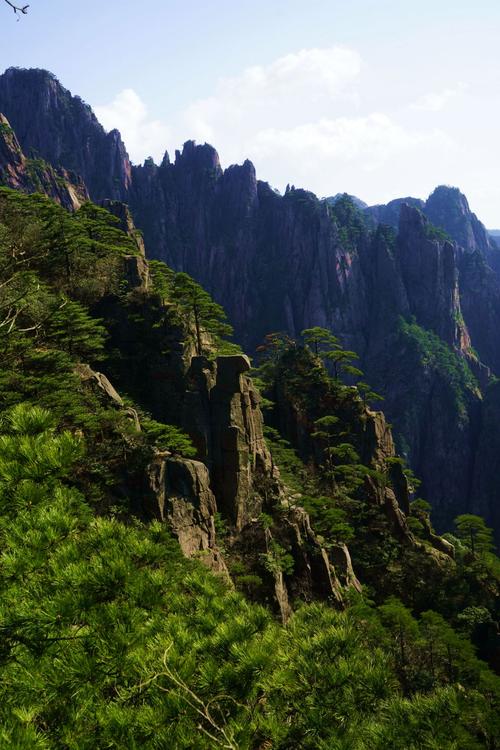 一次难忘的黄山之旅