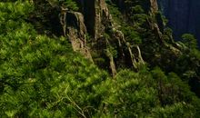 难忘的黄山之旅