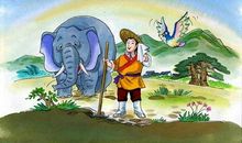 两张照片的故事