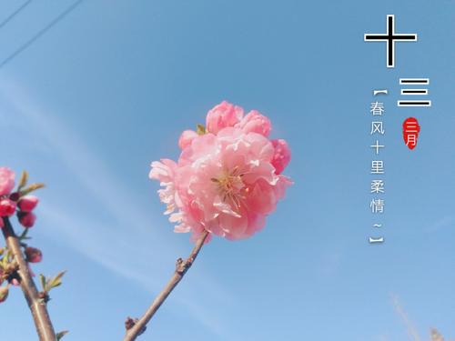 一半的阳光，十英里的春风