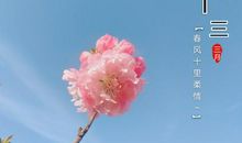 半两阳光，十里春风