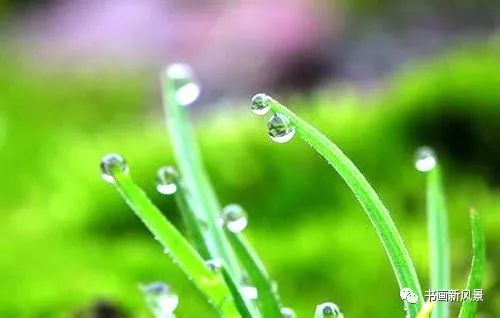 拥抱春雨