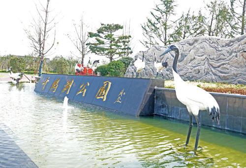 美丽的前河公园