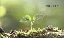 沉睡的创新在苏醒