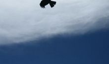 向往一个自由的周末