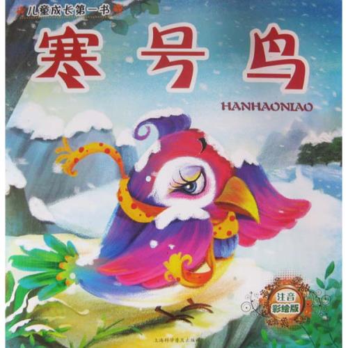 关于阅读《冷鸟的故事》的思考