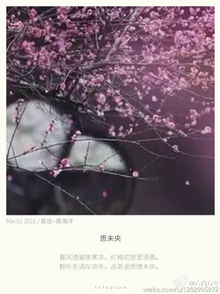 青风轩窗