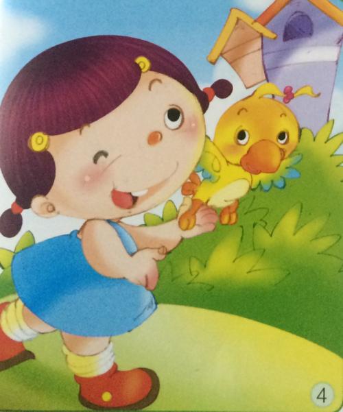 营救受伤的鸟