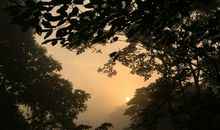 只因为那缕阳光