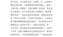 关于窗外的世界作文