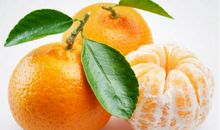 可口的桔子