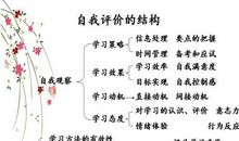自我评价