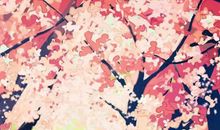 再见了我的朋友