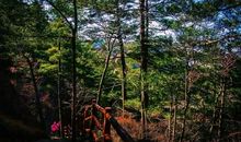 停下来，看一看