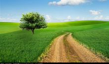 春天的田野作文300字