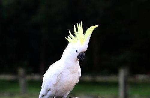 脱颖而出