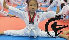 跆拳道之龙英集训