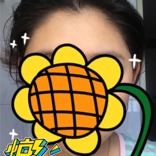 我发现了大黄蜂的秘密