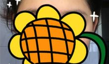 我发现了虎头蜂的秘密