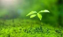 面对困难不要害怕