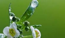 宽容是一场春雨