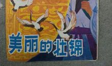 读《美丽的壮锦》有感