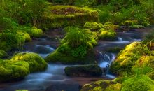 大自然的美妙声音