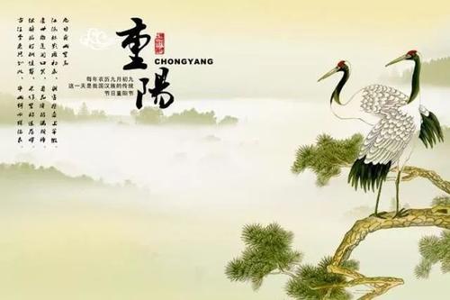 重阳节，热烈的爱