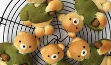 我的小熊——抹茶